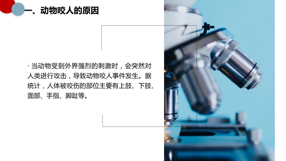 应急救援与现场处_第15页