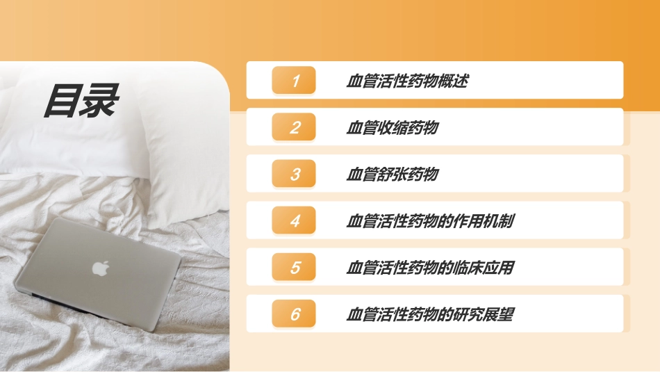 血管活性药物ppt课件_第2页