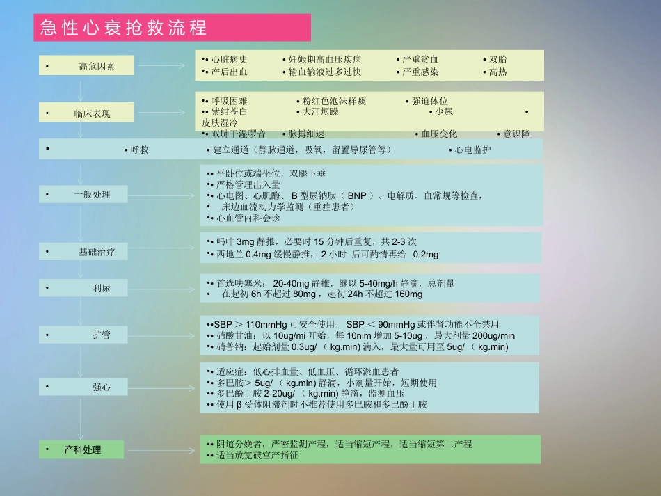 产科急危重症急救流程_第11页