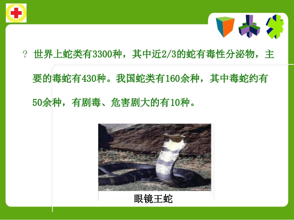 常见动物咬蛰伤应急救护ppt课件_第14页