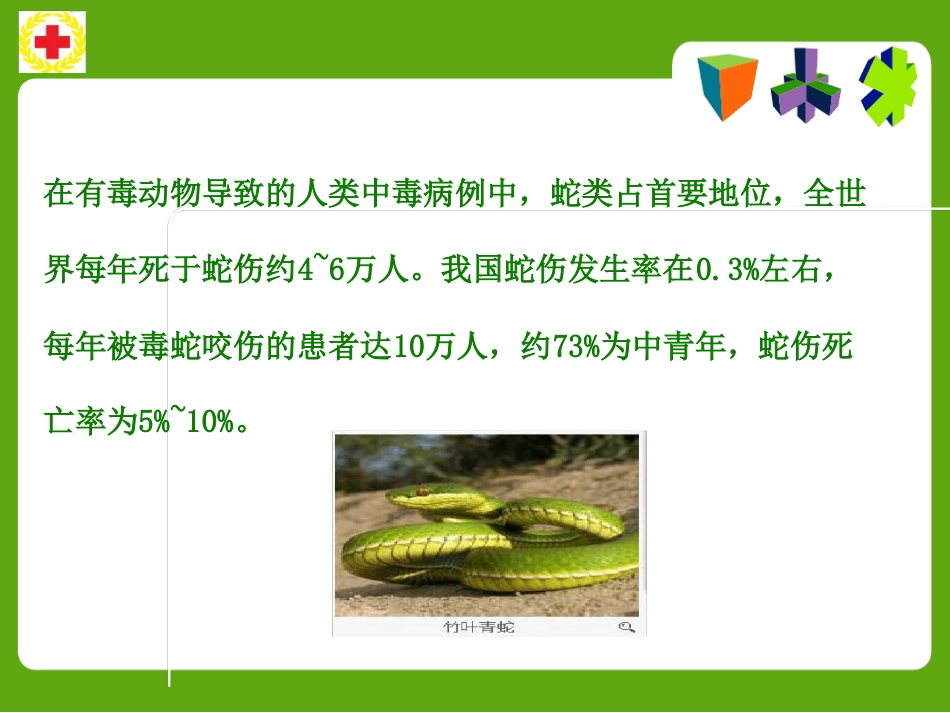 常见动物咬蛰伤应急救护ppt课件_第15页