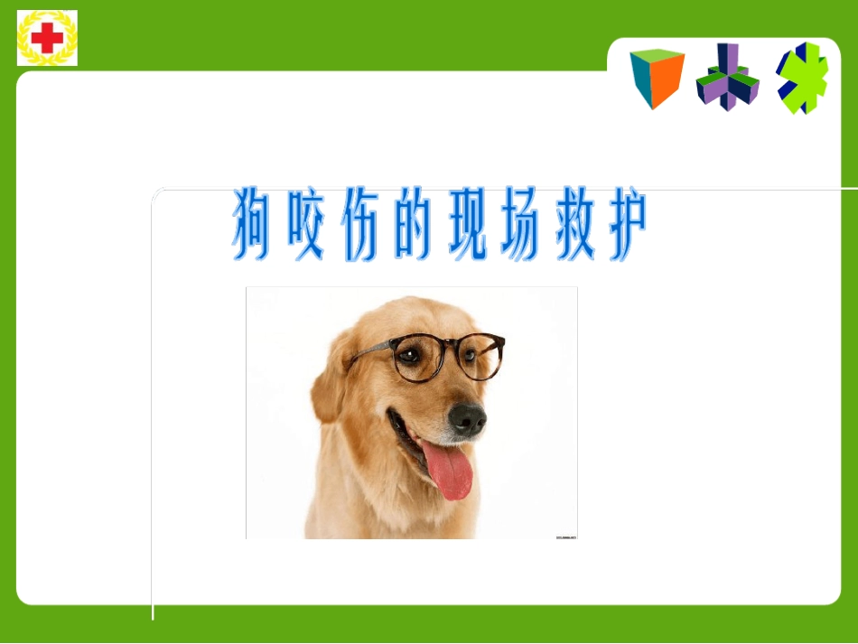 常见动物咬蛰伤应急救护ppt课件_第2页