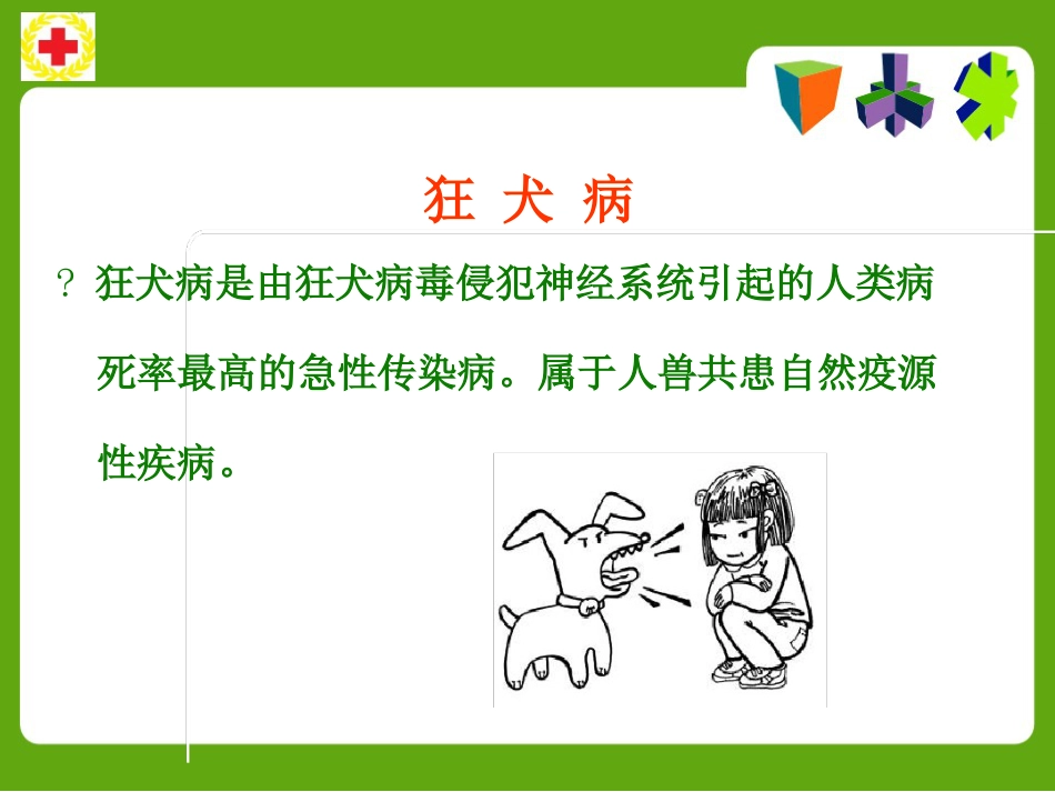 常见动物咬蛰伤应急救护ppt课件_第3页