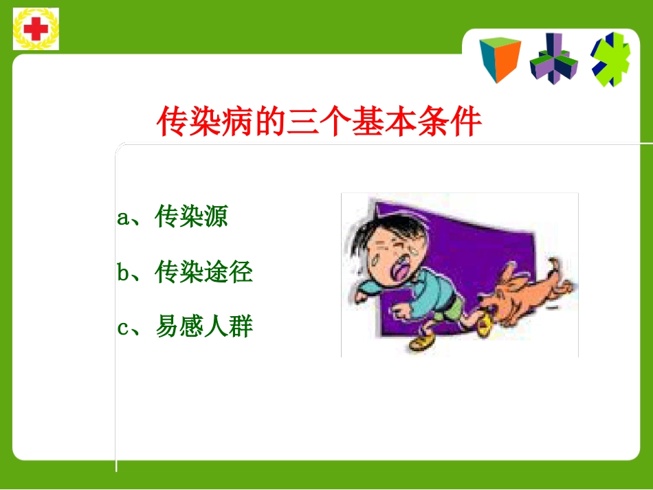 常见动物咬蛰伤应急救护ppt课件_第5页