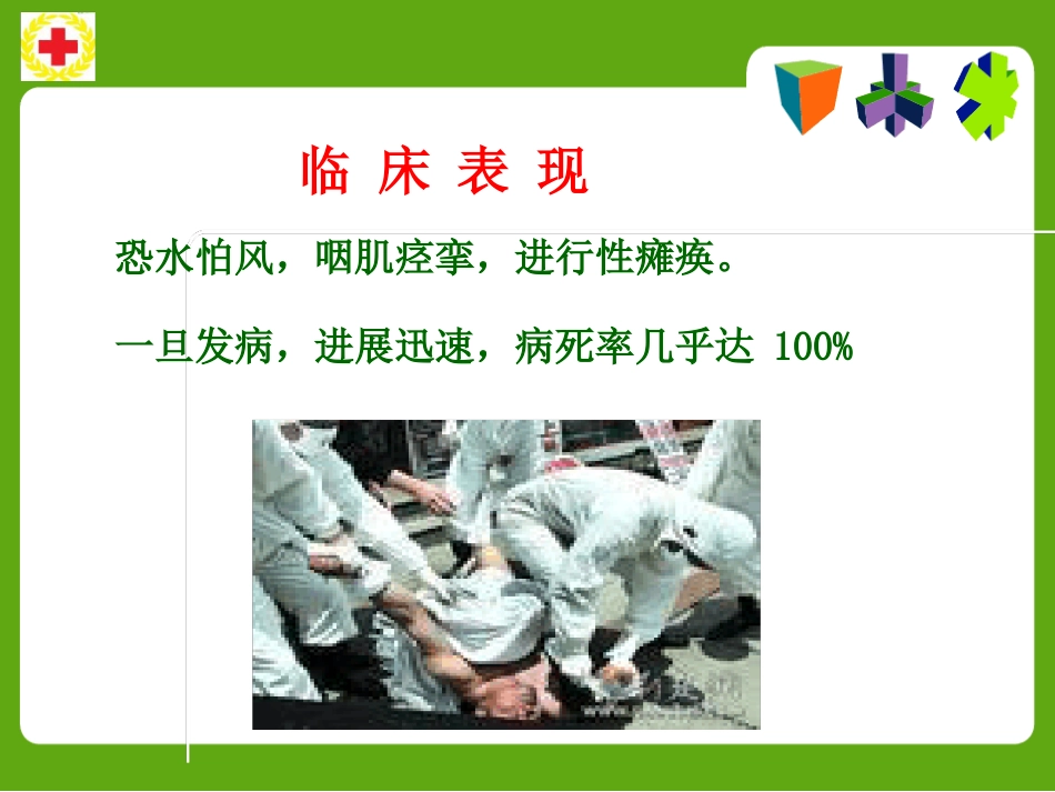 常见动物咬蛰伤应急救护ppt课件_第6页
