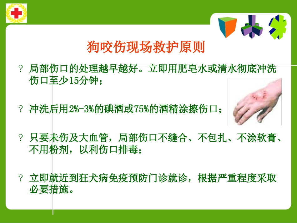 常见动物咬蛰伤应急救护ppt课件_第8页
