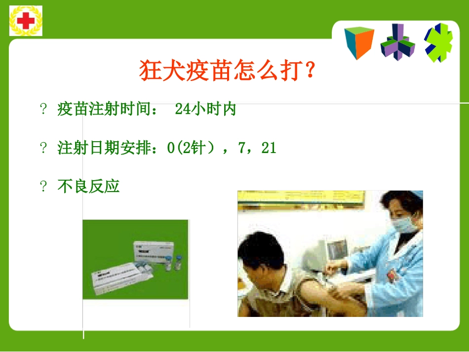 常见动物咬蛰伤应急救护ppt课件_第9页