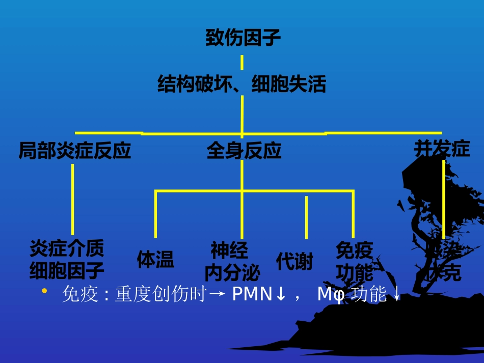 创伤 急救_第11页