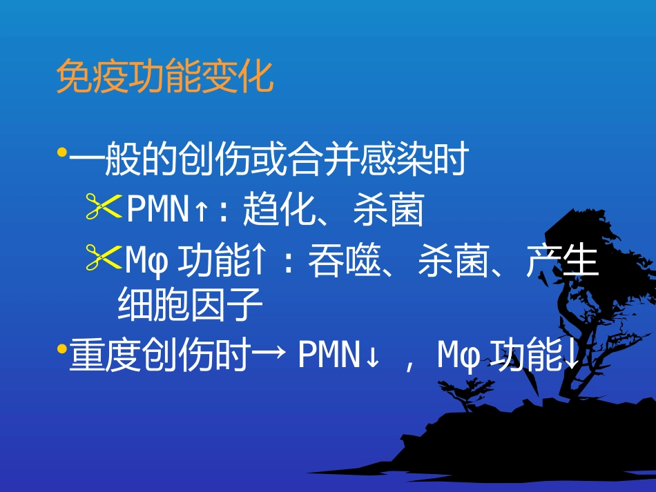 创伤 急救_第13页