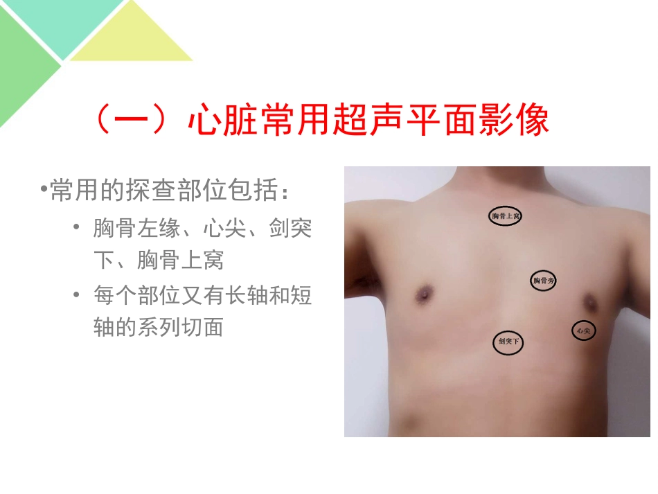 超声可视化技术在急诊急救中的应用_第5页