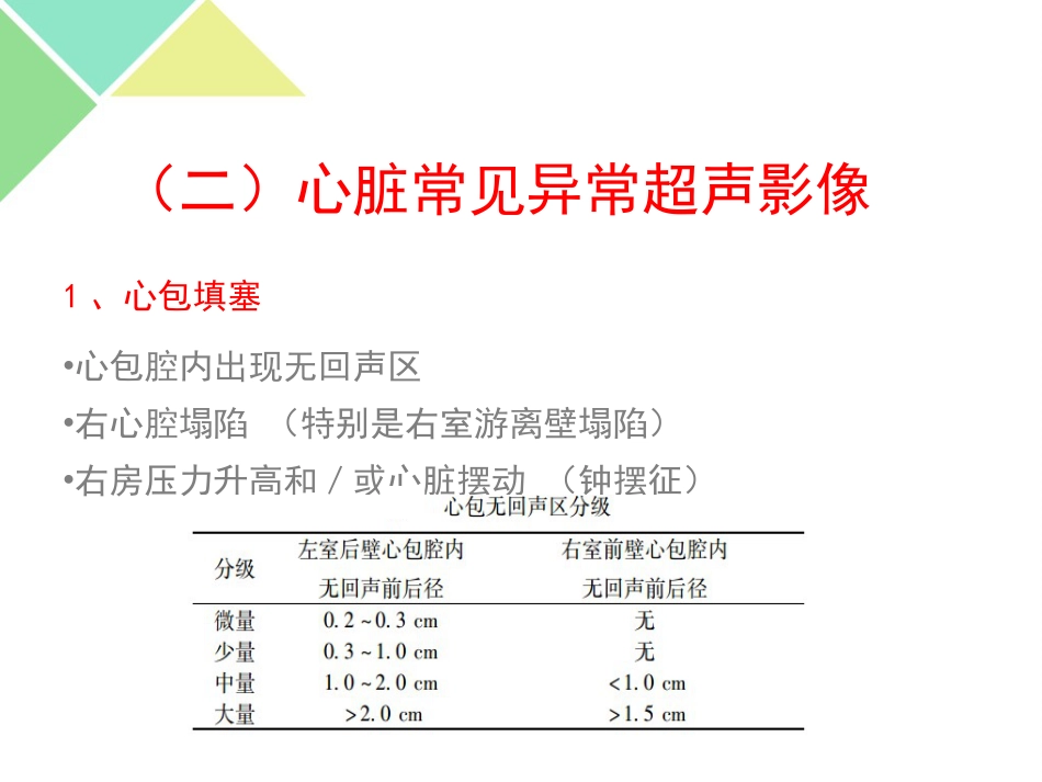 超声可视化技术在急诊急救中的应用_第8页