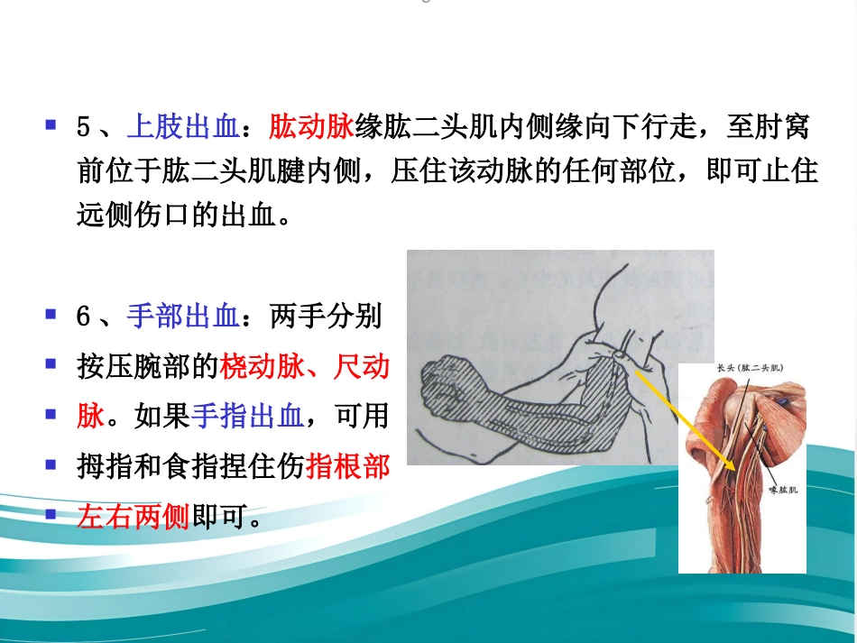 创伤现场急救的四项基本技术_第7页