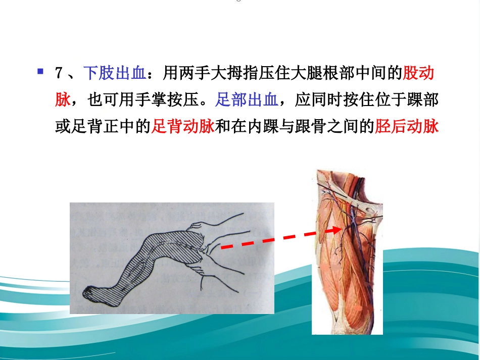 创伤现场急救的四项基本技术_第8页