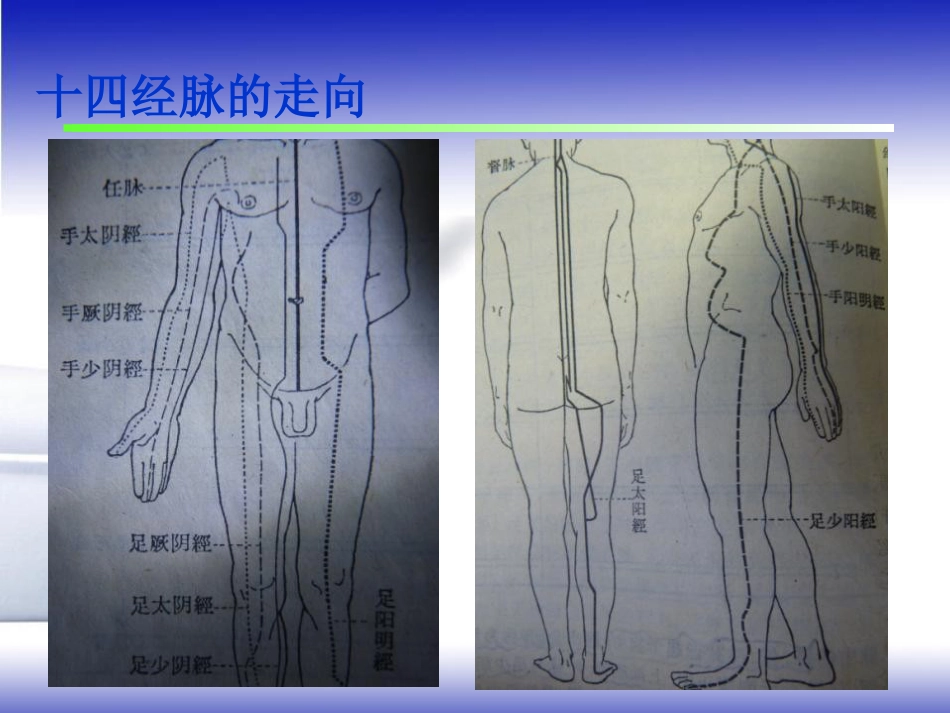 常用急救保健穴的临床应用PPT课件_第4页