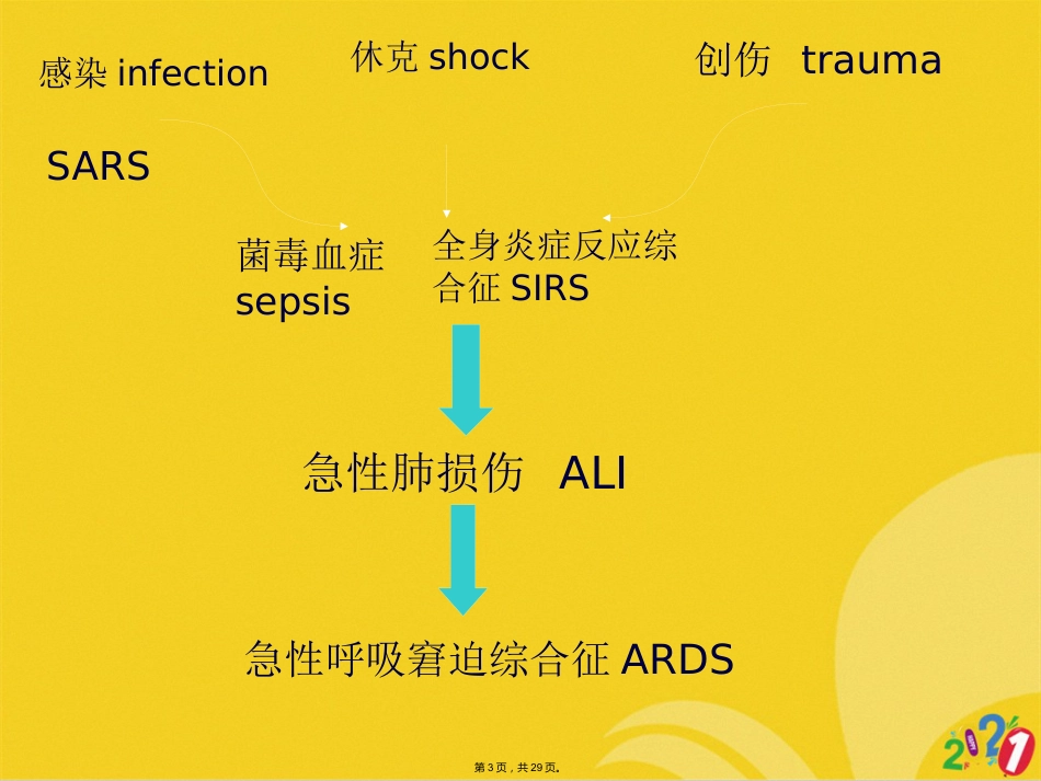 成人呼吸综合征急救ARDS_第3页