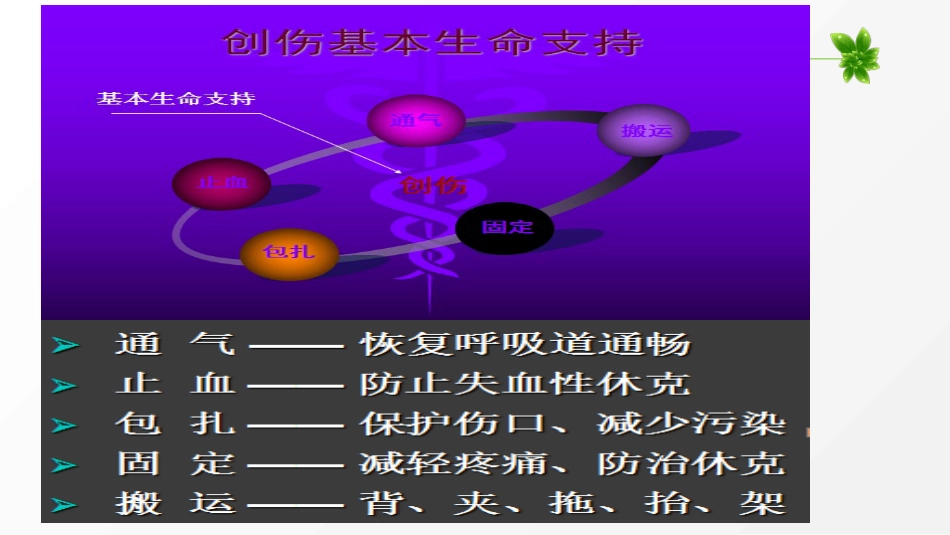 创伤的急救护理(急诊科) PPT_第13页
