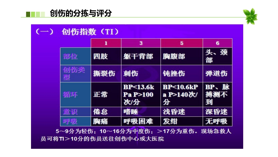 创伤的急救护理(急诊科) PPT_第6页