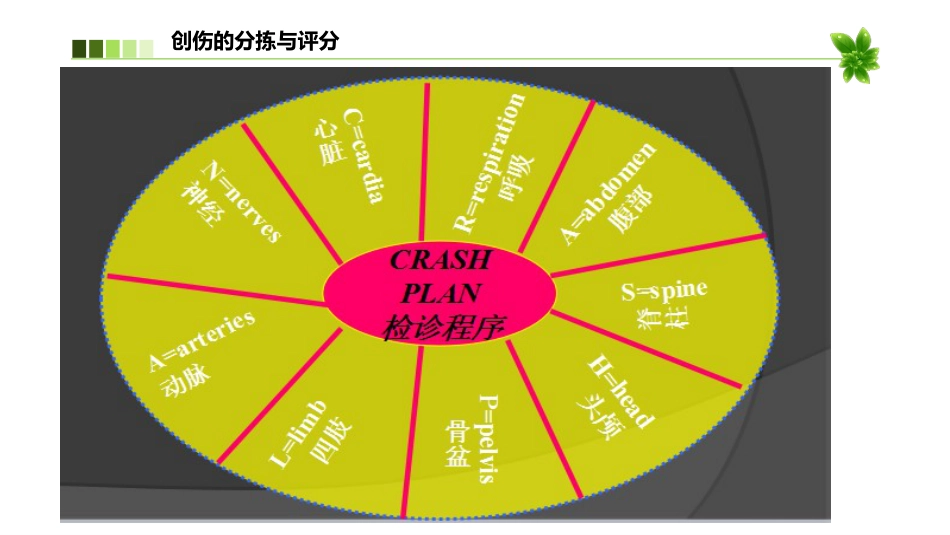 创伤的急救护理(急诊科) PPT_第9页