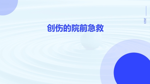 创伤的院前急救ppt