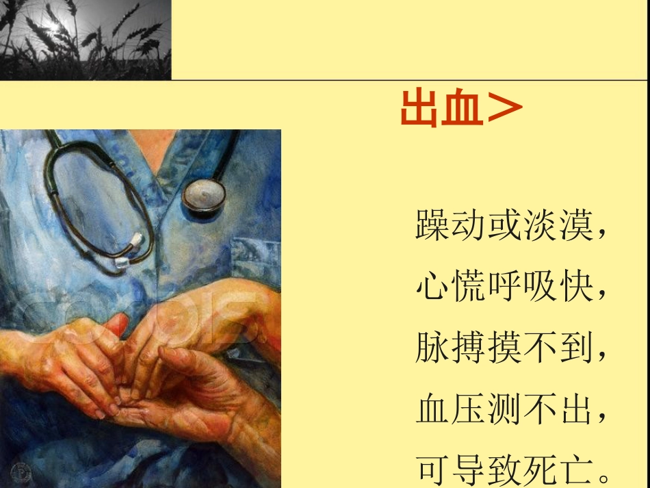 创伤现场急救_第11页
