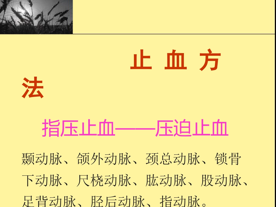 创伤现场急救_第12页