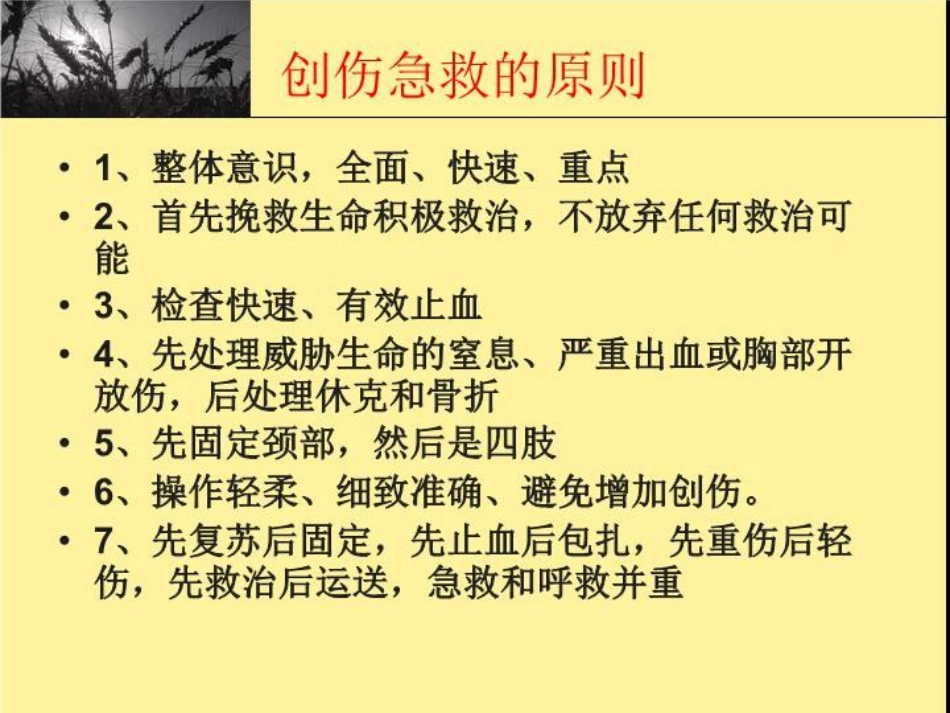 创伤现场急救_第2页