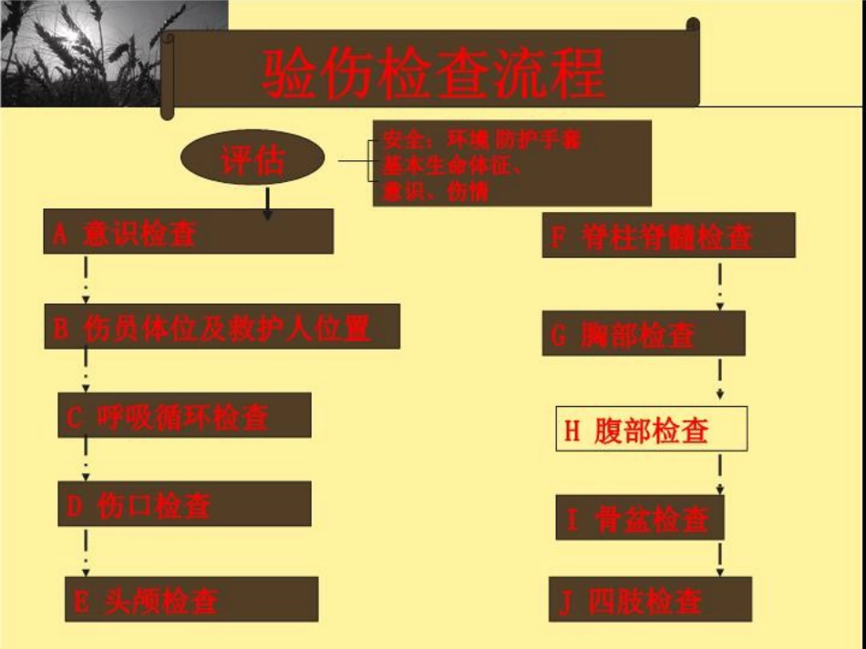 创伤现场急救_第4页