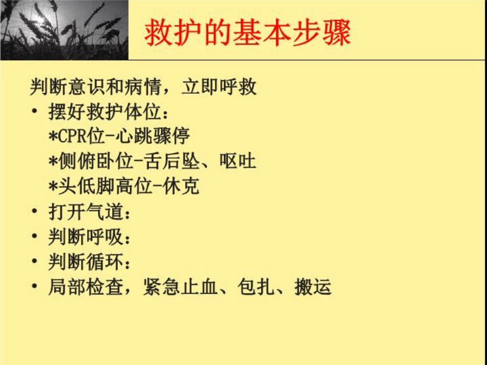 创伤现场急救_第5页