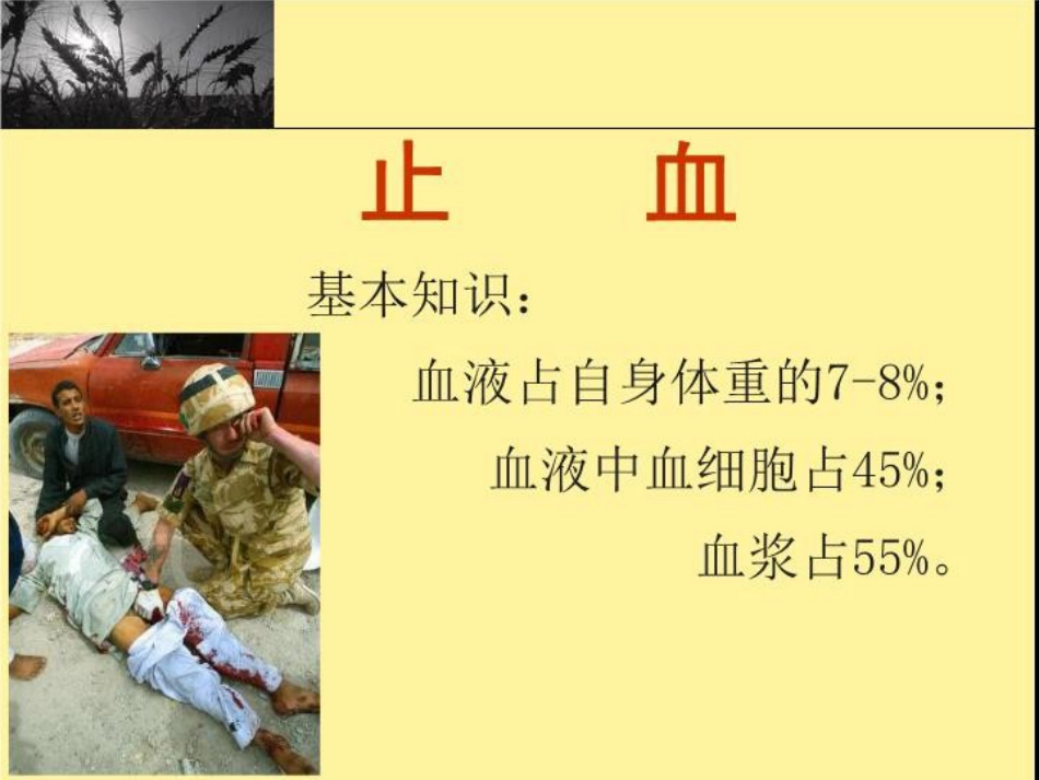 创伤现场急救_第7页