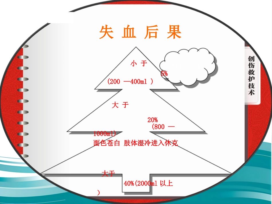 创伤骨折院前急救_第13页