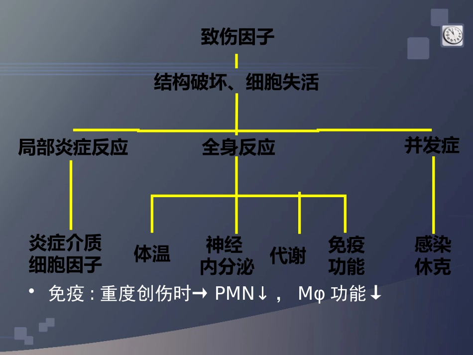 创伤急救(3)_第11页