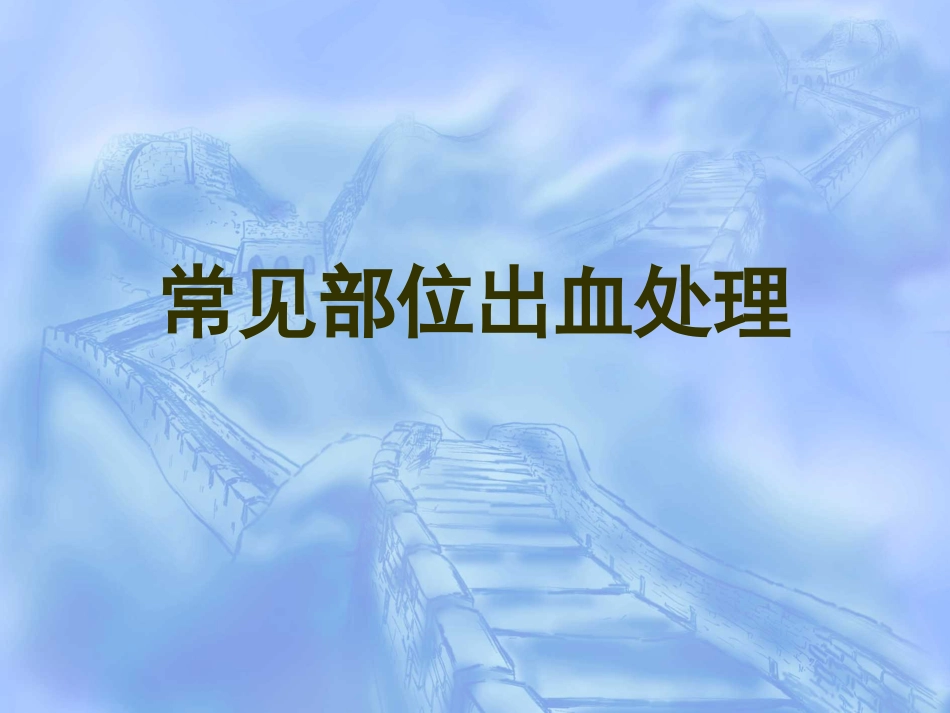 创伤急救(5)_第13页