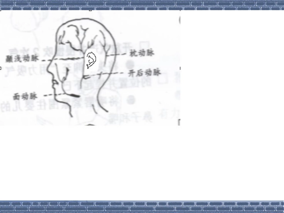创伤急救(5)_第8页