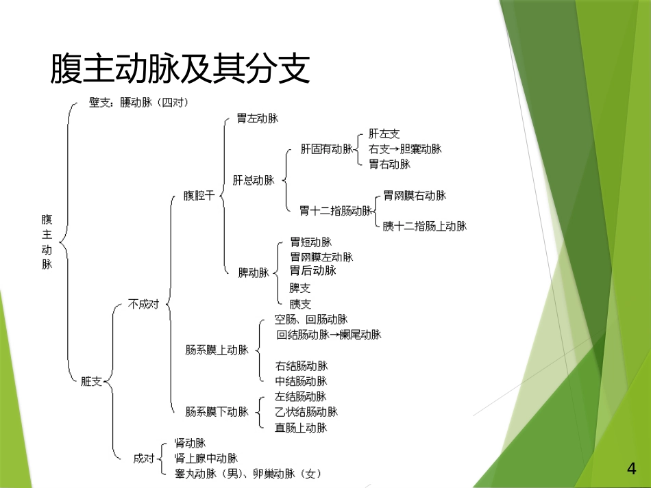 胆道出血PPT_第4页