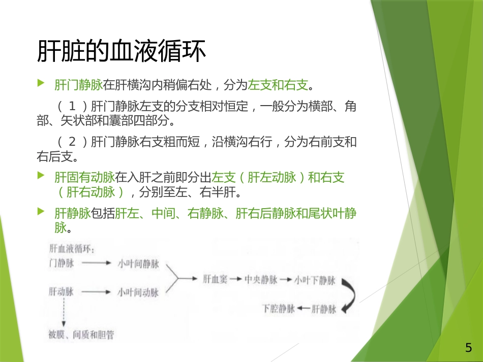 胆道出血PPT_第5页