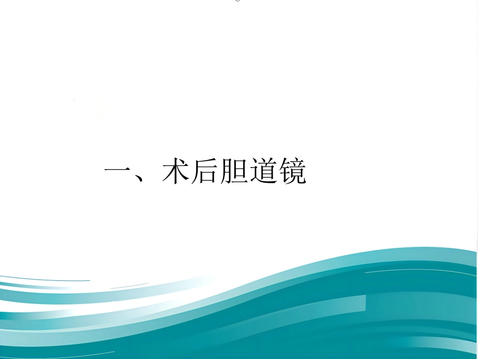 胆道镜的使用_第6页