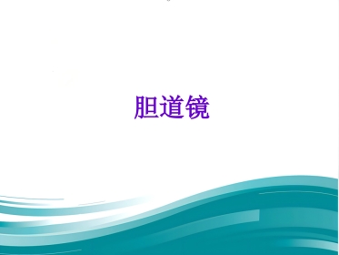 胆道镜的使用