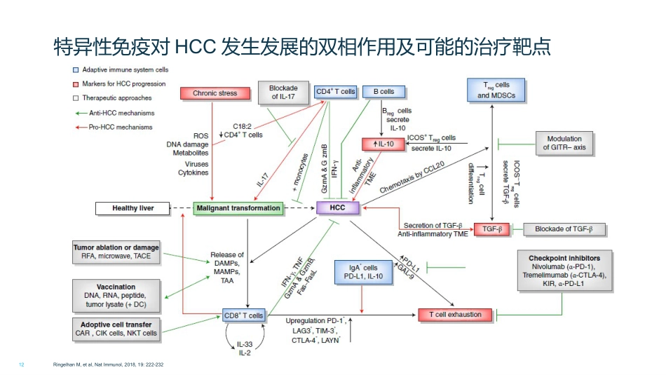 HCC肝癌的免疫治疗_第12页