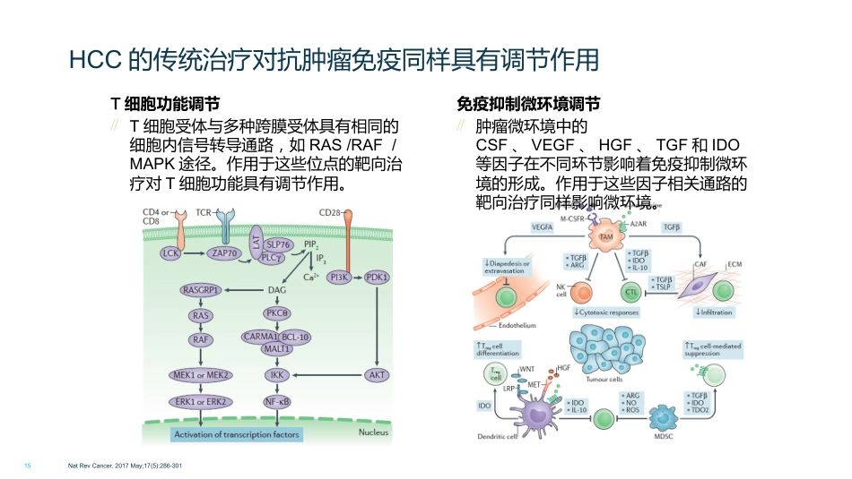 HCC肝癌的免疫治疗_第15页