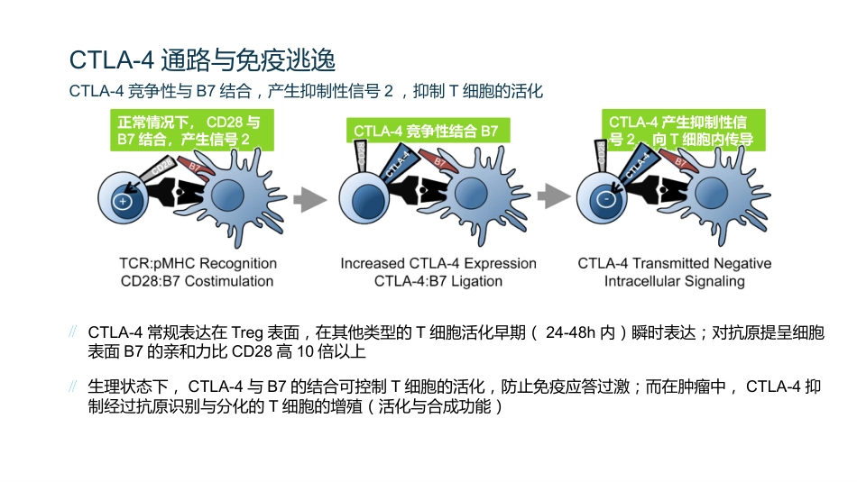 HCC肝癌的免疫治疗_第5页
