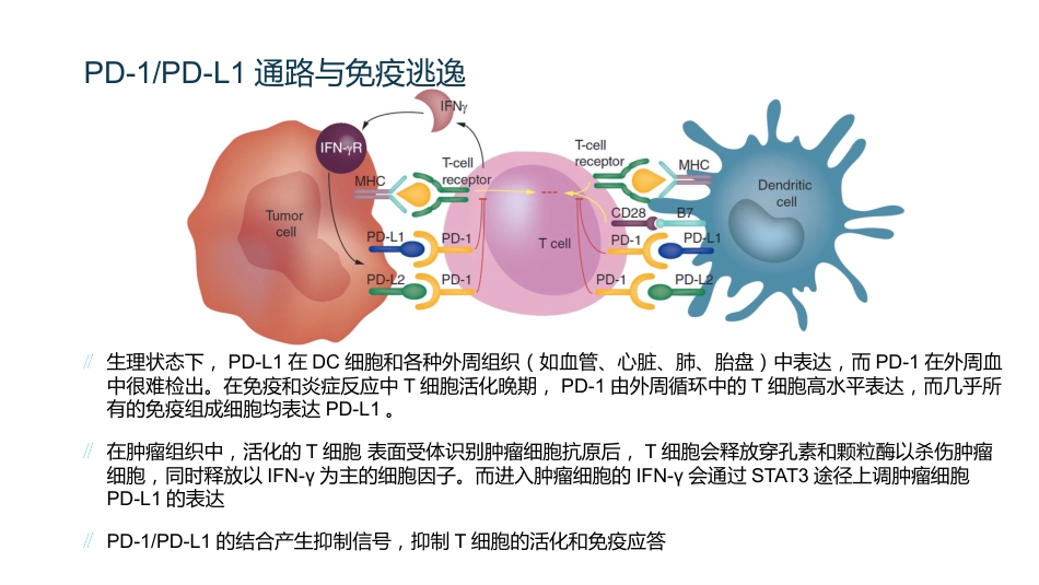 HCC肝癌的免疫治疗_第6页