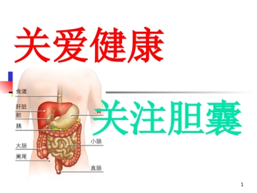 胆囊饮食指导ppt课件