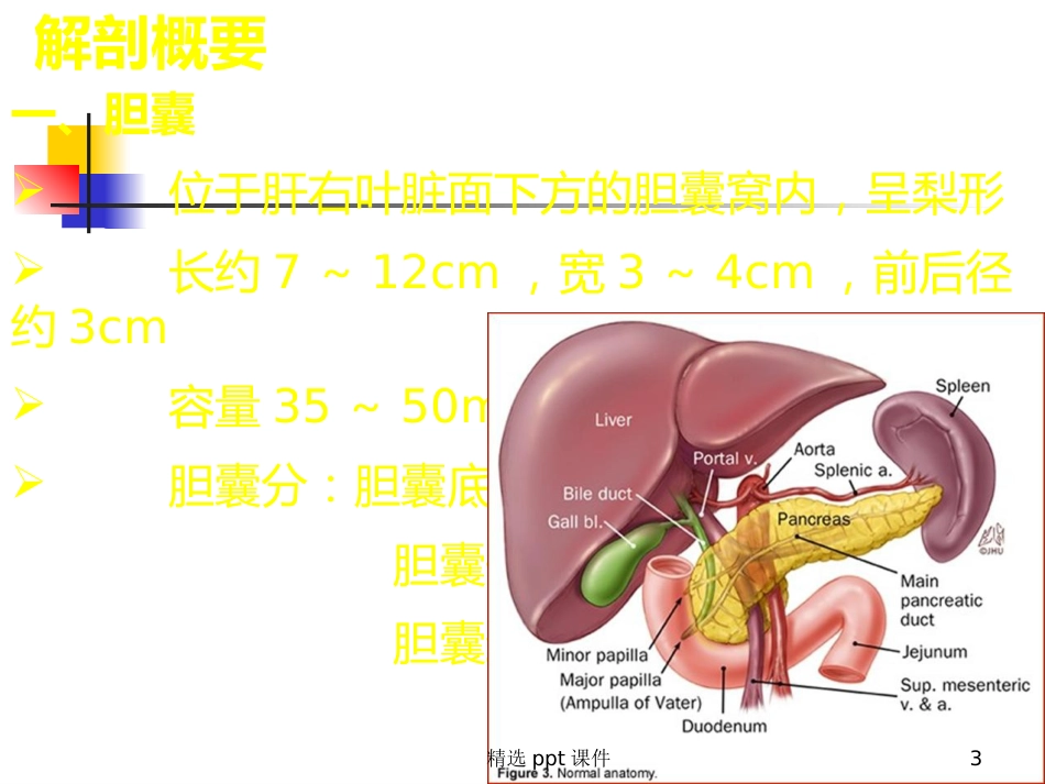 胆囊炎课件_第3页