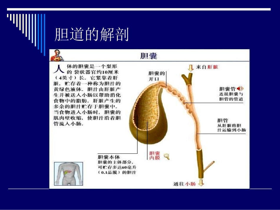 胆道结石业务查房_第3页