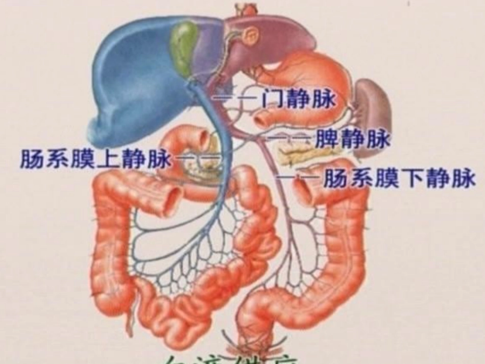 《结肠癌》ppt课件_第11页