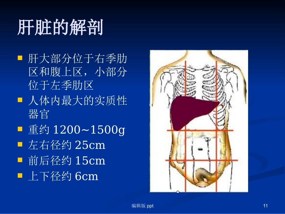 腹腔镜下肝叶切除 ppt课件_第11页