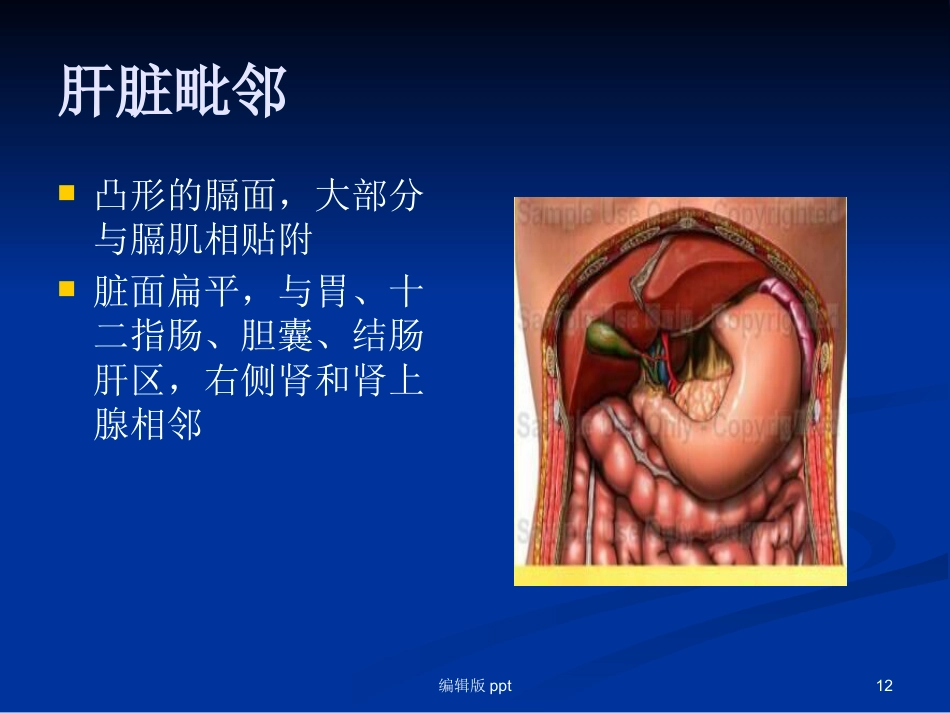 腹腔镜下肝叶切除 ppt课件_第12页