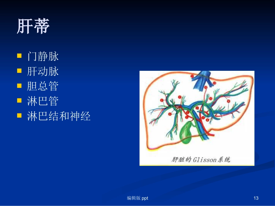 腹腔镜下肝叶切除 ppt课件_第13页
