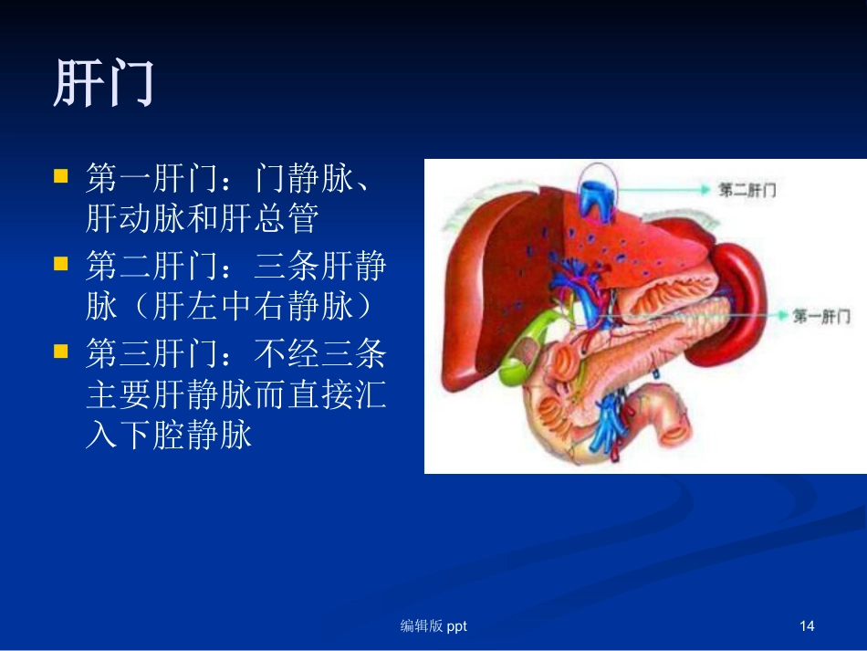腹腔镜下肝叶切除 ppt课件_第14页