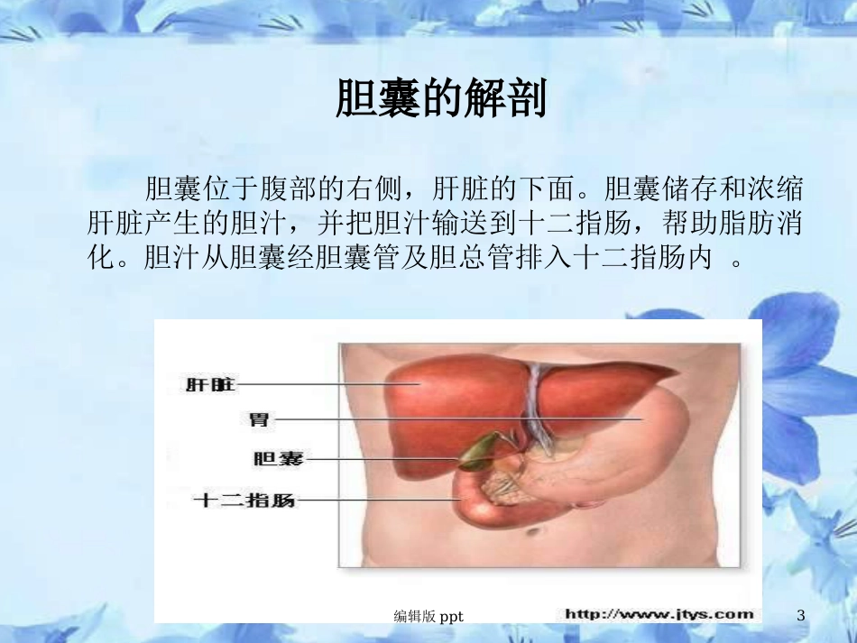 胆囊相关知识 ppt课件_第3页